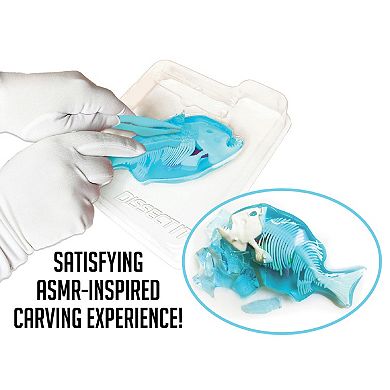 Top Secret Toys Dissect-It: Piranha Lab - Synthetic Dissection Kit, Realistic & Safe, STEM Learning Guide