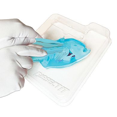 Top Secret Toys Dissect-It: Piranha Lab - Synthetic Dissection Kit, Realistic & Safe, STEM Learning Guide