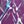 Purple Multi