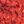 Red Glitter