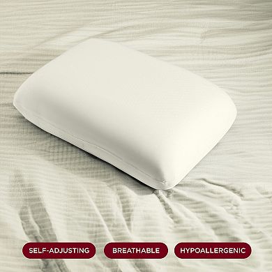 NIGHT Airlight Foam Pillow Core