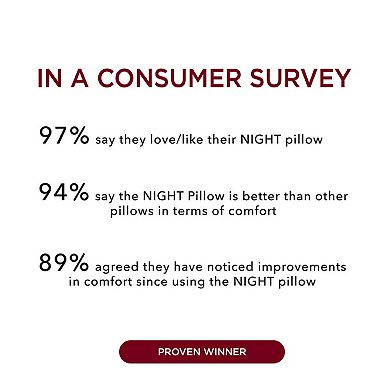 NIGHT Airlight Foam Pillow Core