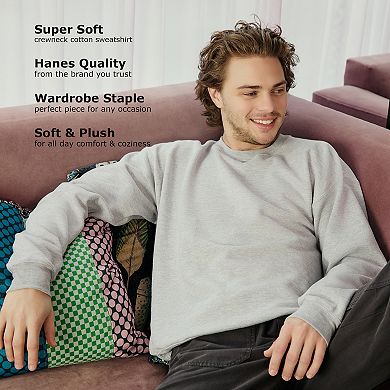 Men's Hanes® EcoSmart 2-Pack Fleece Sweatshirt