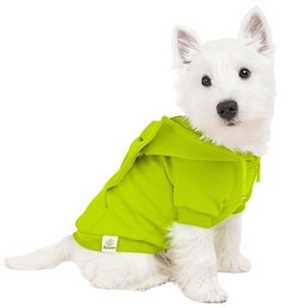 Allisandro Cotton Pet Hoodie With Removable Cute Bow
