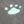 Grey Paw