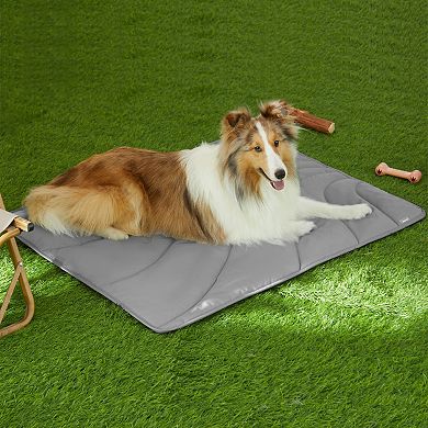 Allisandro Water Repellent Dog Mat