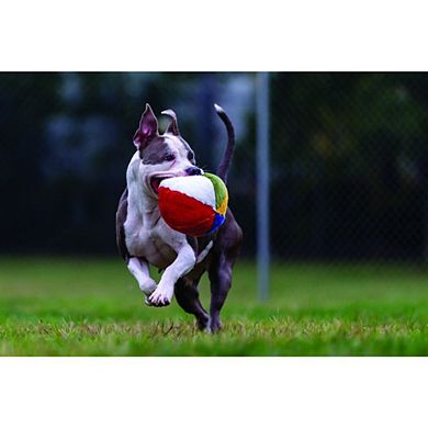 Fluff & Tuff Beach Ball Dog Toy - 7"