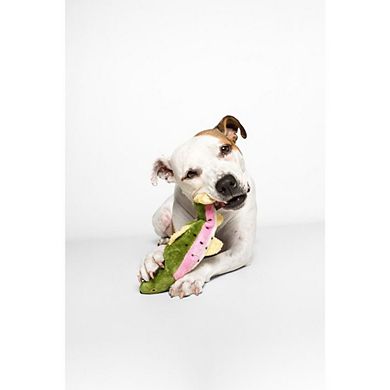 Fluff & Tuff Burt The Lake Trout Dog Toy
