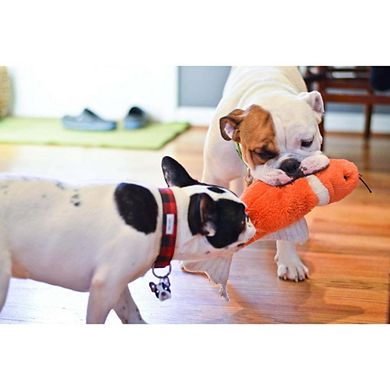 Fluff & Tuff Finn Koi