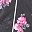 Black Floral