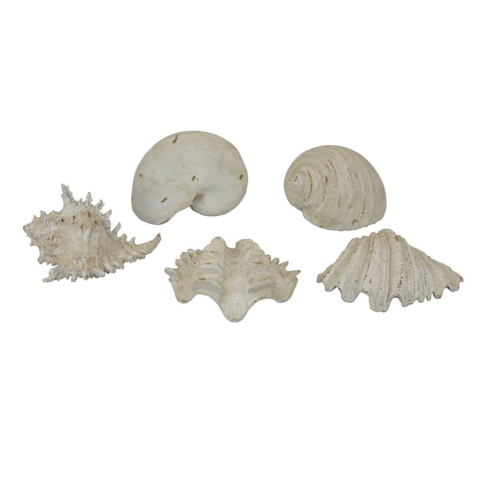 Antique Shells 5 Piece Table Decor