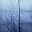 Evening Blue Ombre