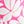 Rose Painted Floral