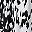 Black Texture