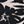 Black Palm