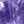 Petal Purple Tie Dye