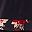 Black Red Floral