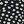 Black Ivory Floral
