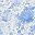 White Blue Cove Floral