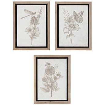 Framed Floral Insect Print (Set of 3)