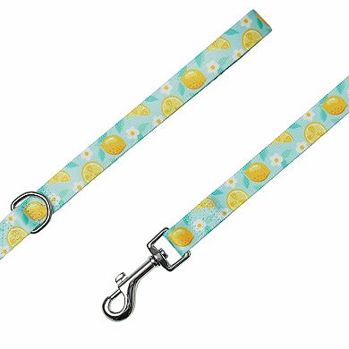 View of Blueberry Pet Zesty Fruit Dog Leash