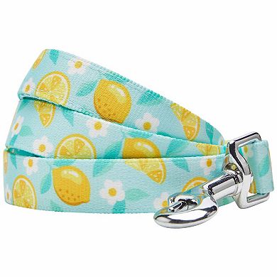 Image showcasing Blueberry Pet Zesty Fruit Dog Leash