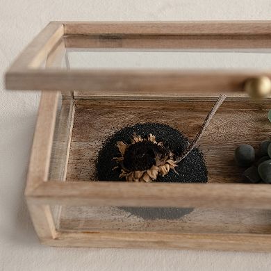 Storied Home Mango Wood Glass Display Box