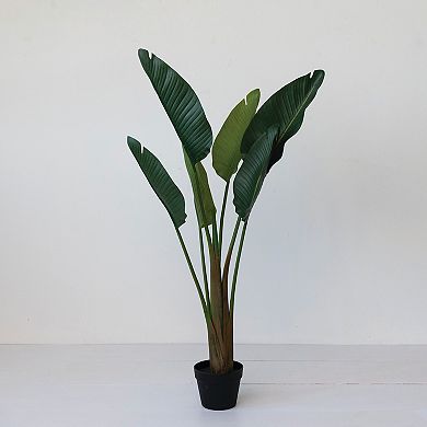 Storied Home Faux Banana Tree in Plastic Pot