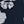 Navy Floral