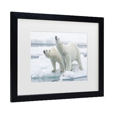 Trademark Fine Art Polar Bears, Mother & Son Matted Framed Wall Art