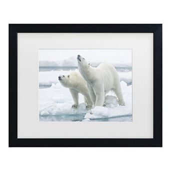 Trademark Fine Art Polar Bears, Mother & Son Matted Framed Wall Art