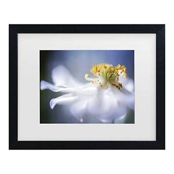Trademark Fine Art Anemone 1 Matted Framed Wall Art