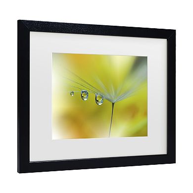 Trademark Fine Art Sunbeam III Matted Framed Wall Art