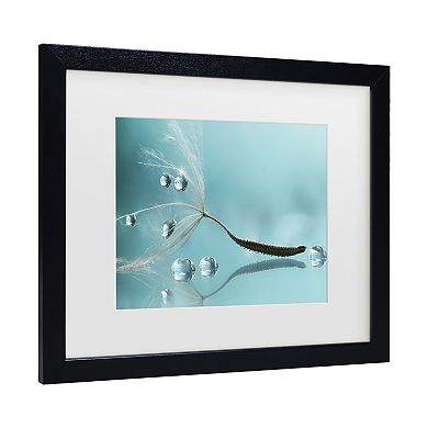 Trademark Fine Art Water Matted Framed Wall Art