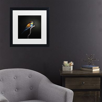 Trademark Fine Art Colorful Darkly Matted Framed Wall Art