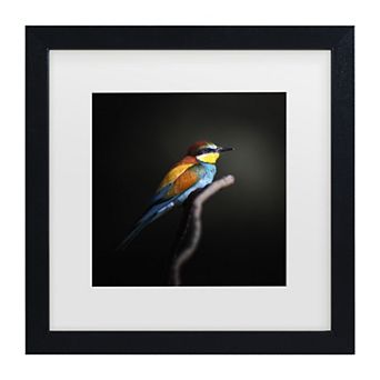 Trademark Fine Art Colorful Darkly Matted Framed Wall Art