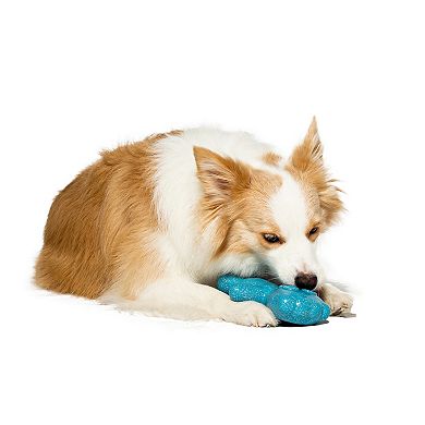 Mondelez International Sour Patch Dog Toy