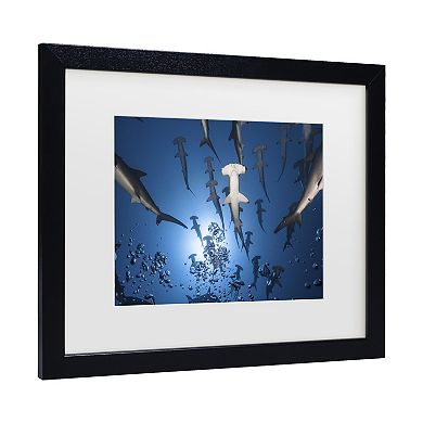 Trademark Fine Art Hammerhead Shark Matted Framed Wall Art