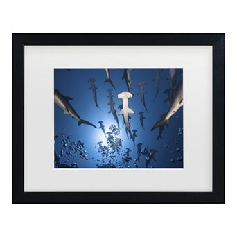 Trademark Fine Art Hammerhead Shark Matted Framed Wall Art