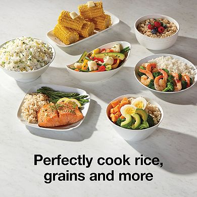 Proctor Silex 10-Cup Rice Cooker & Food Steamer