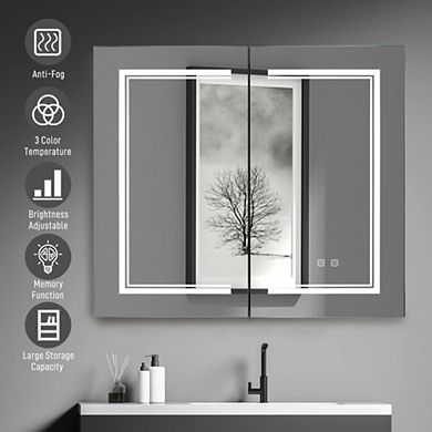 Ozon Vanity Mirror Cabinet, 1 Door, LED Light, Anti-Fog, Adjustable Brightness & Color
