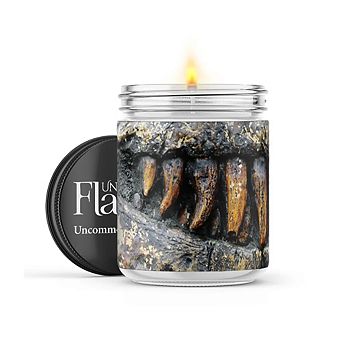 Dino Fossil - 22-oz Candle Jar - Sea Salt & Peony