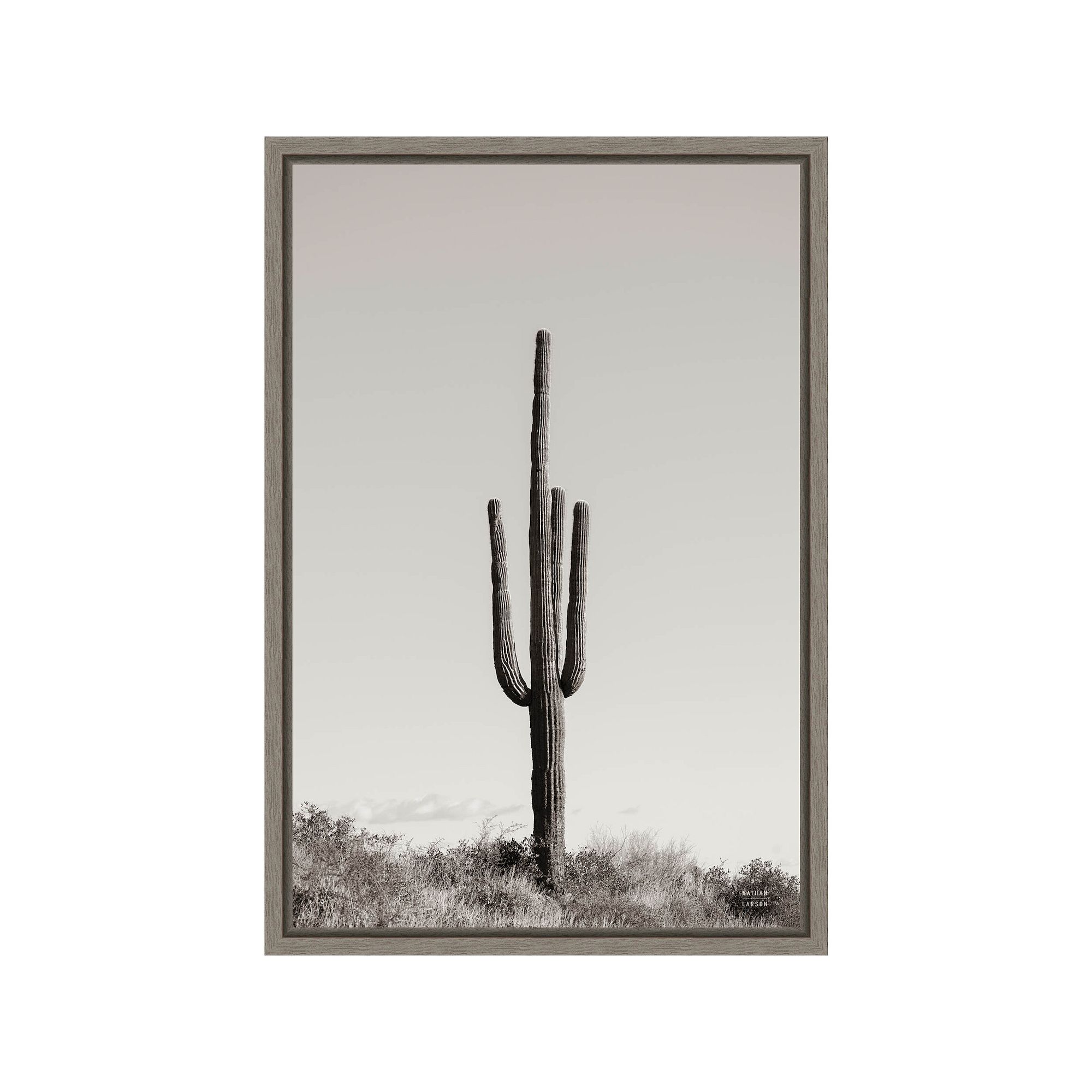 Amanti Art Saguaro Afternoon Framed Canvas Wall Art, Gray