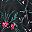 Black Foliage Floral