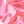 Prism Pink Palm Leaf