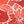 Red Floral Graphic