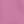 Mauve Orchid