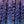 Purple Textured Stripe