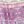 Purple Stripe