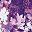 Berry Pink Lace Floral